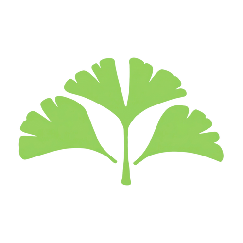 Ginkgo