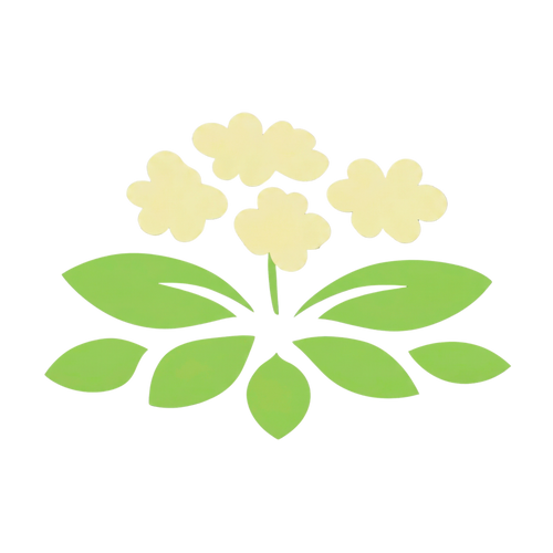 Rosenwurz