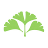 Ginkgo