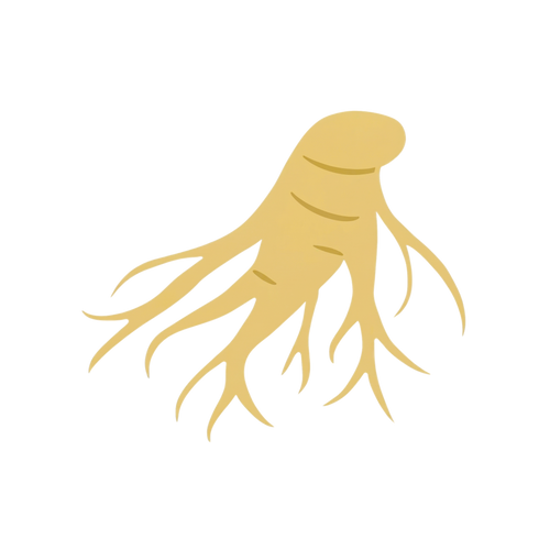 Ginseng