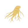 Ginseng